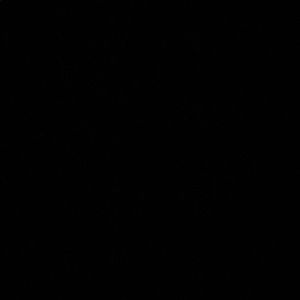 Meet your Posher, Blen